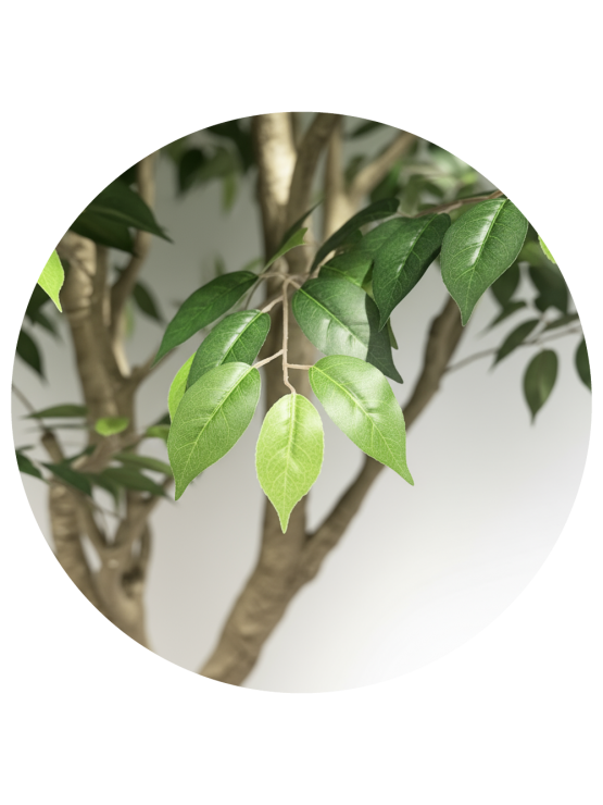 Árvore Ficus Artificial 250cm