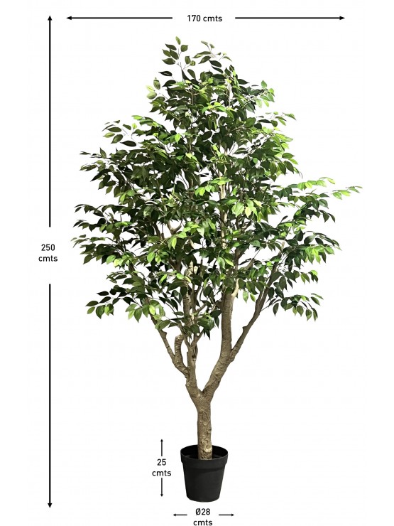 Árvore Ficus Artificial 250cm