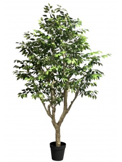 Árvore Ficus Artificial 250cm