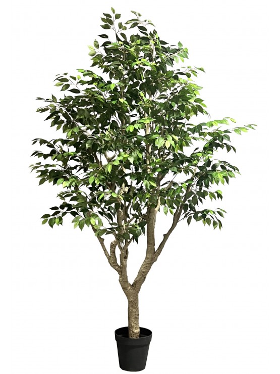 Árvore Ficus Artificial 250cm