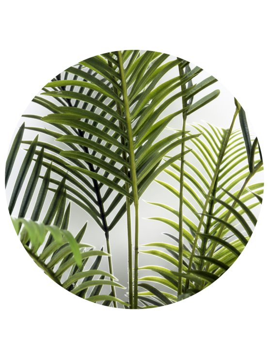 Palmeira Artificial 150cm