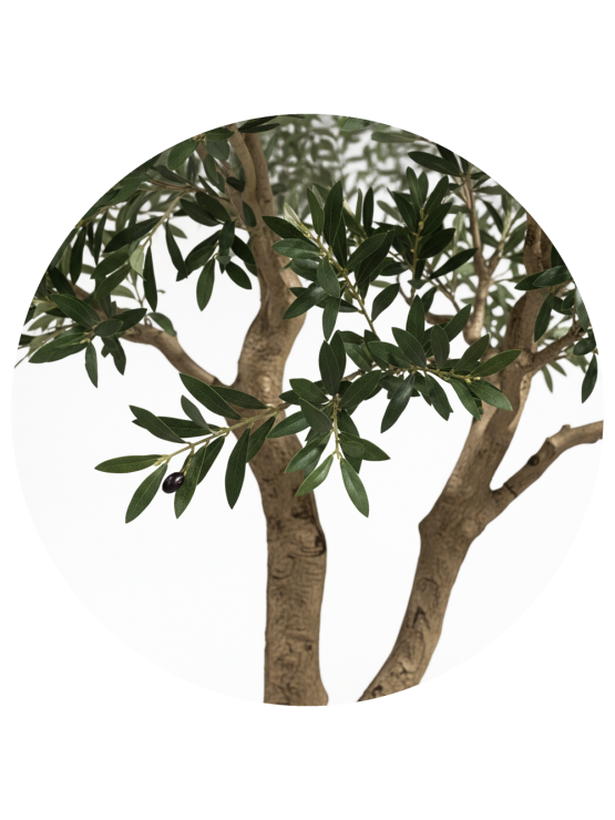 Oliveira Artificial 300cm