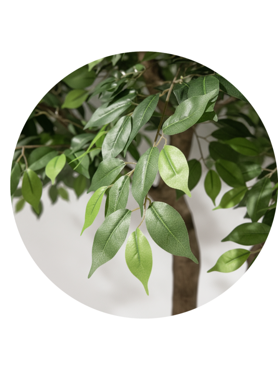 Árvore Ficus Artificial 300cm