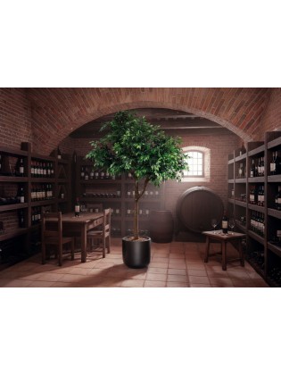 Árvore Ficus Artificial 300cm