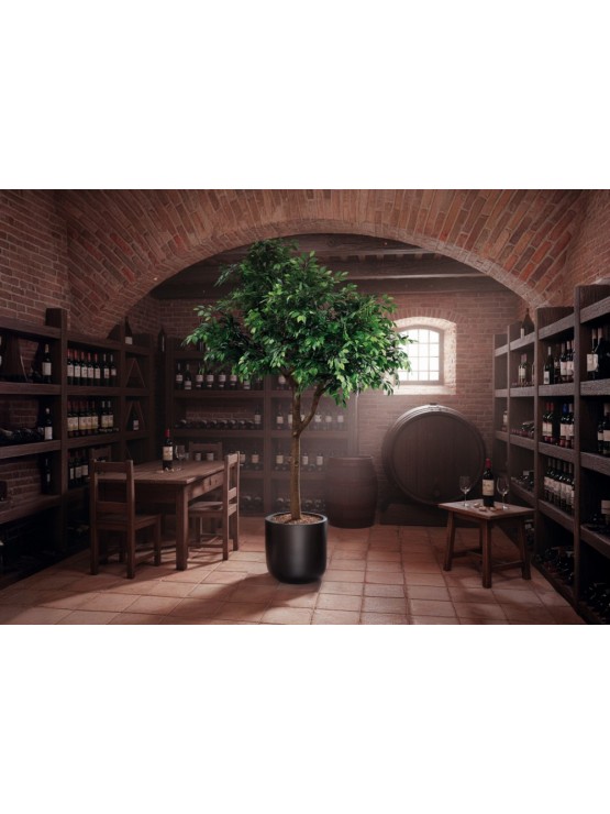 Árvore Ficus Artificial 300cm