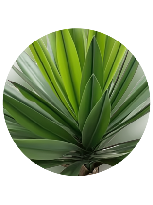 Planta Yucca Artificial Exterior 95cm