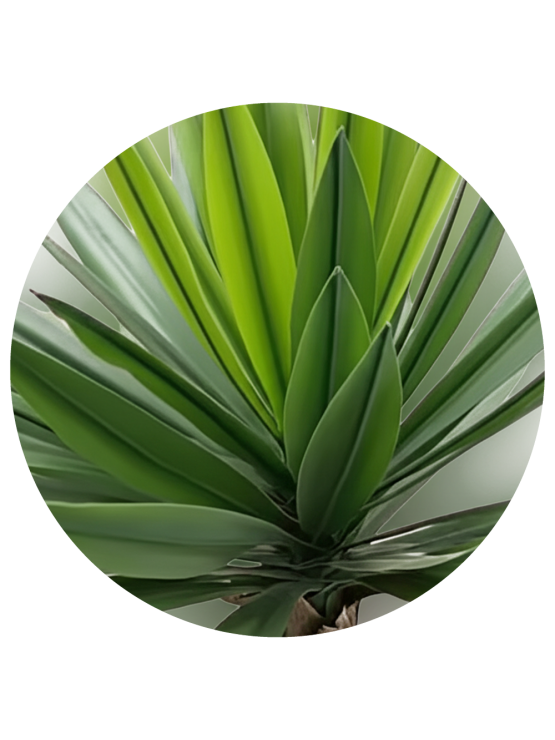 Planta Yucca Artificial Exterior 95cm