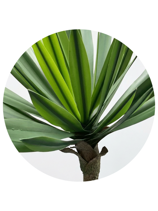 Planta Yucca Artificial Exterior 67cm