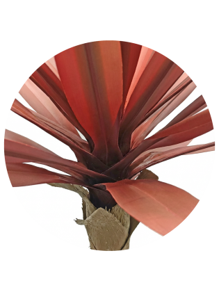 Yucca Vermelha Artificial Exterior 67cm