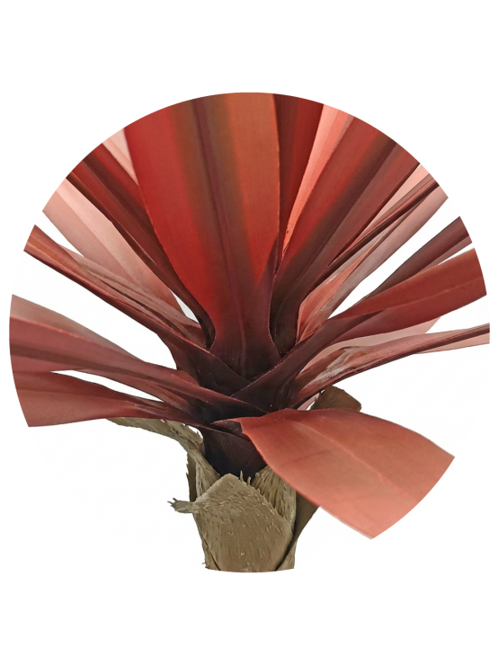 Yucca Vermelha Artificial Exterior 67cm