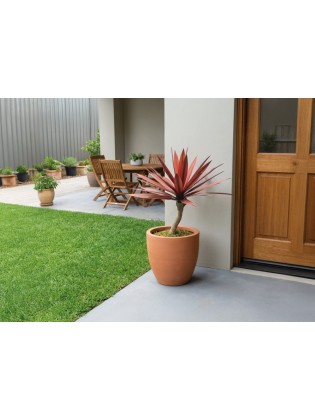 Yucca Vermelha Artificial Exterior 67cm