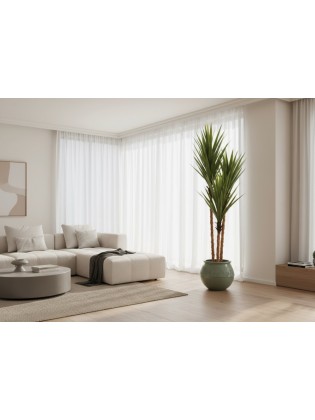Yucca 150cm
