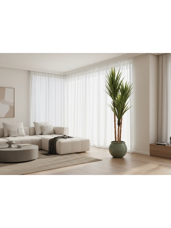Yucca 150cm