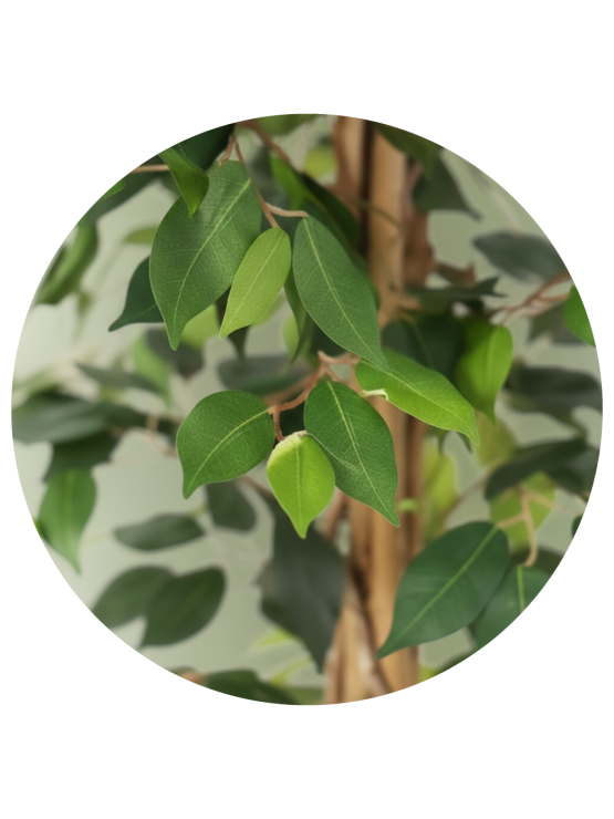 Árvore Ficus Artificial 150cm