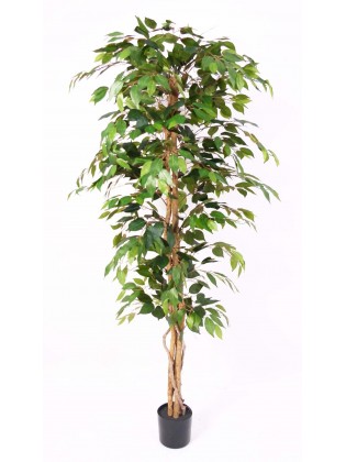 Árvore Ficus Artificial 180cm