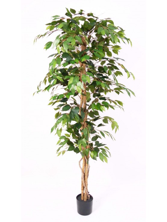 Árvore Ficus Artificial 180cm