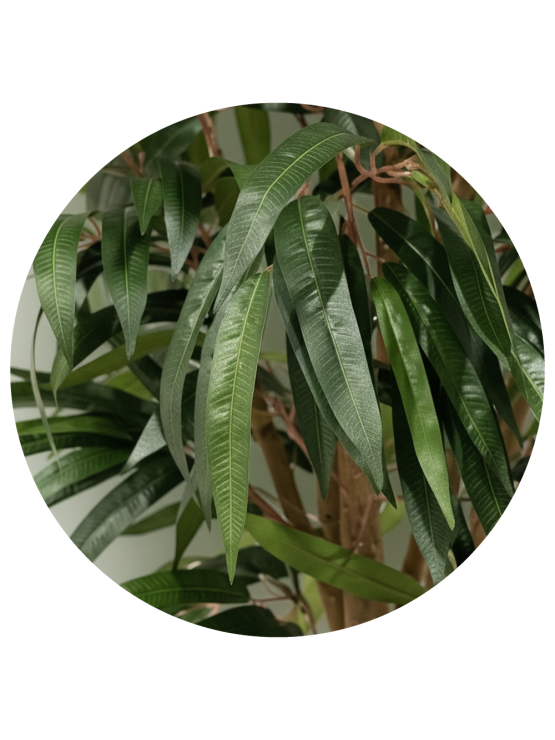 Árvore Longifolia Artificial 160cm