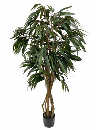 Árvore Longifolia Artificial 160cm