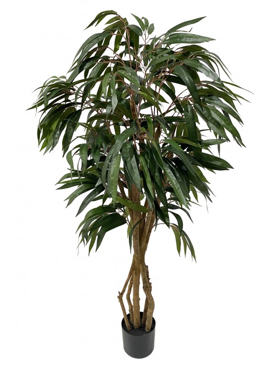 Árvore Longifolia Artificial 160cm