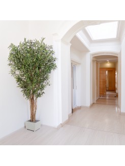 Oliveira Artificial 180cm