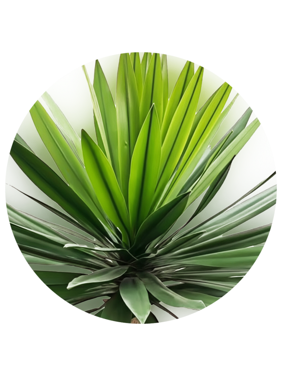 Planta Yucca Artificial Exterior 130cm