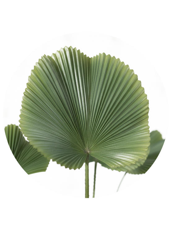 Árvore Licuala Artificial 110cm
