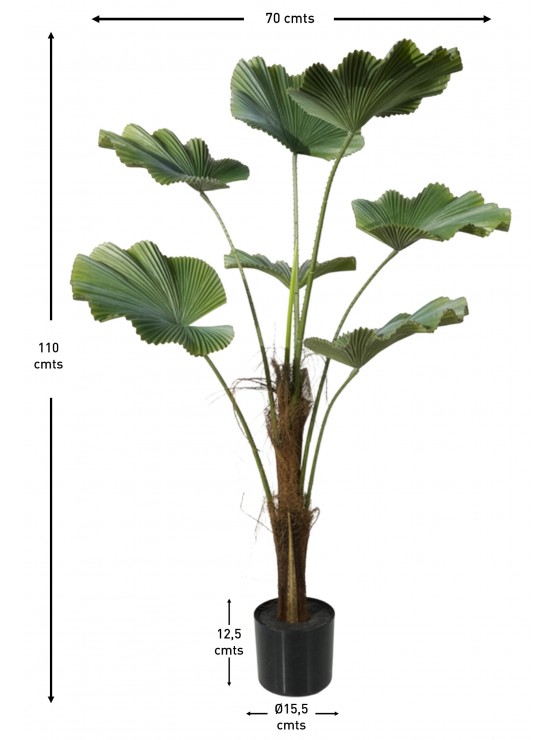 Árvore Licuala Artificial 110cm