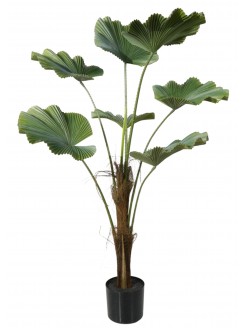 Árvore Licuala Artificial 110cm