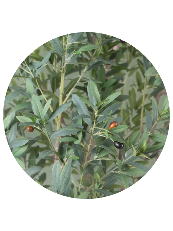 Oliveira Artificial Exterior 215cm