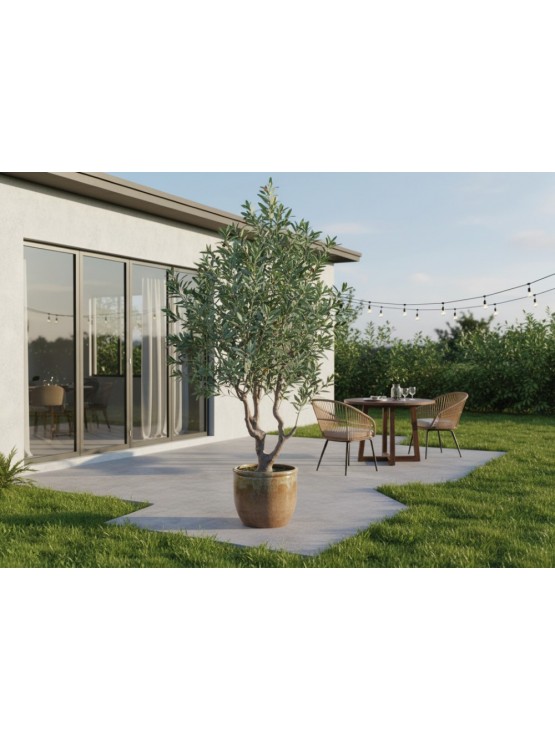 Oliveira Artificial Exterior 215cm