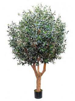 Oliveira Artificial com Tronco Natural 240cm