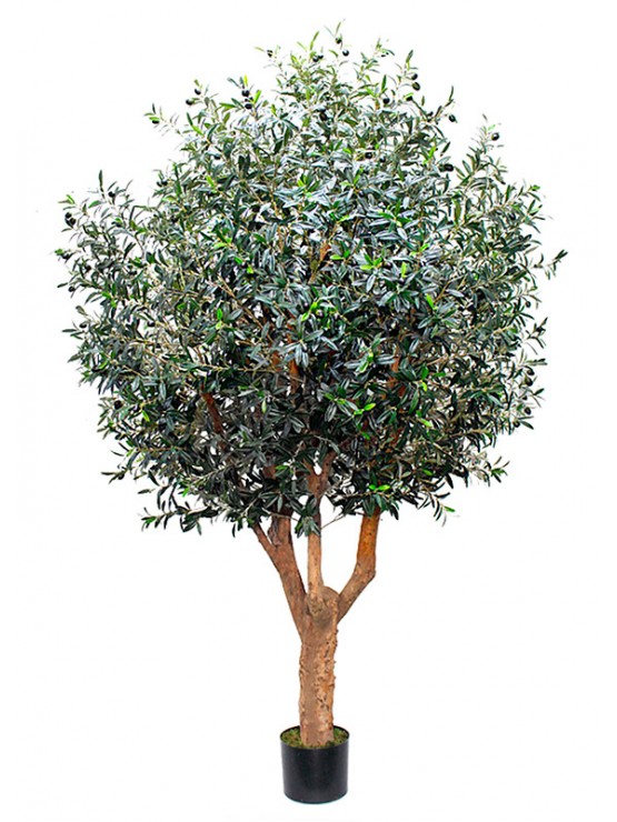 Oliveira Artificial com Tronco Natural 240cm