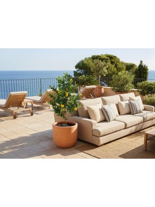 Limoeiro Artificial Exterior 125cm