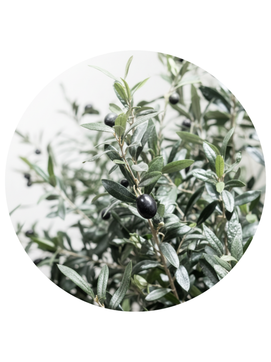 Oliveira Artificial Exterior 400cm