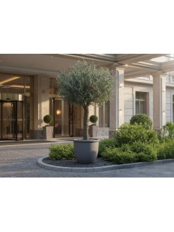Oliveira Artificial Exterior 400cm