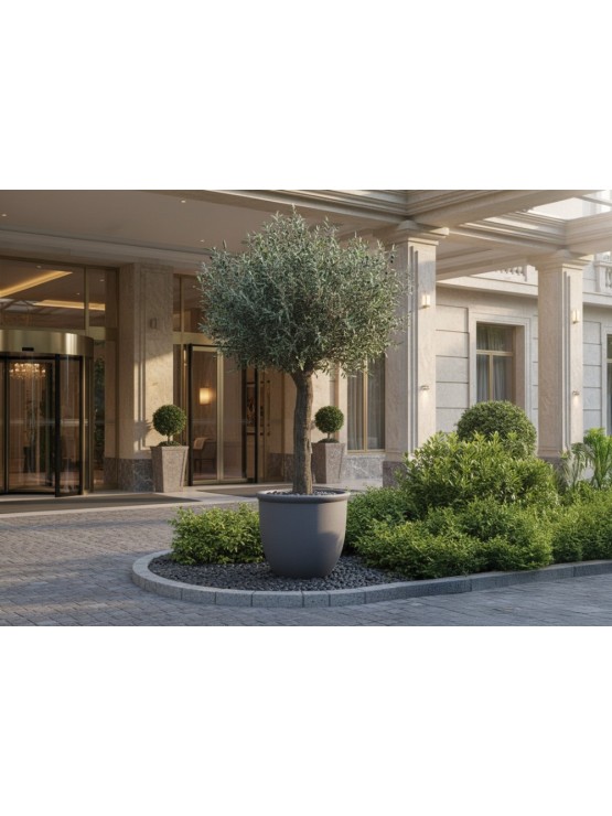 Oliveira Artificial Exterior 400cm