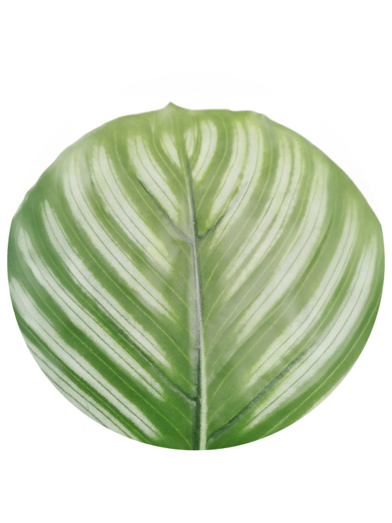 Vaso Calathea Verde Artificial 70cm