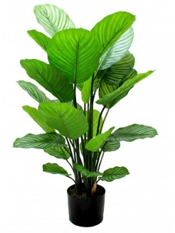Vaso Calathea Verde Artificial 70cm