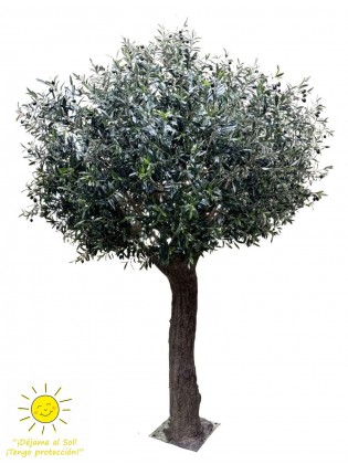 Oliveira Artificial Valle del Jerte Exterior 300cm