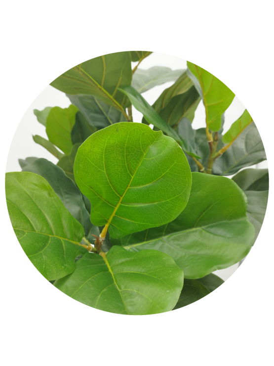 Árvore Ficus Lyrata Artificial 130cm