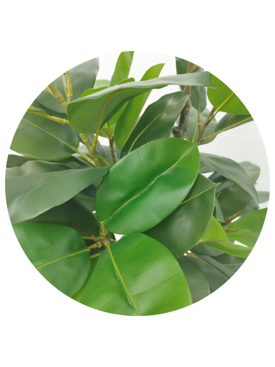 Árvore Ficus Elastica Artificial 170cm