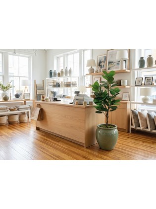 Árvore Ficus Elastica Artificial 170cm
