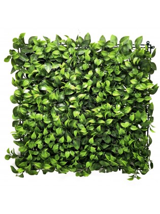 Jardim Vertical Louro 50x50cm
