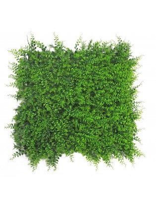 Jardim Vertical Feto 50x50cm