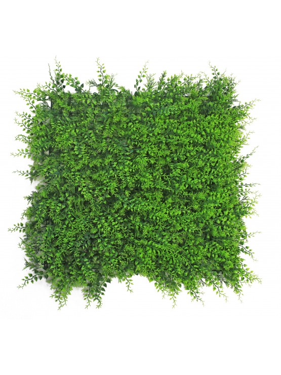 Jardim Vertical Feto 50x50cm