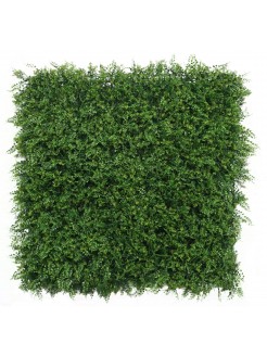 Jardim Vertical Feto 100x100cm