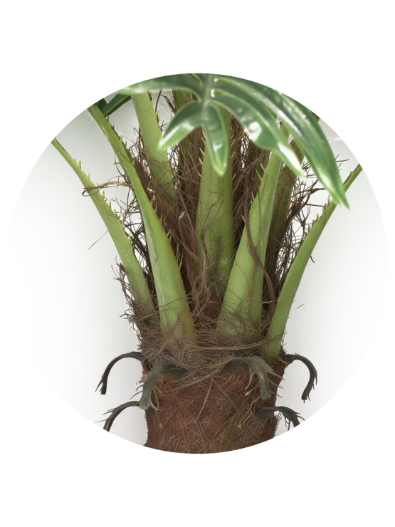Palmeira Phoenix Artificial 210cm