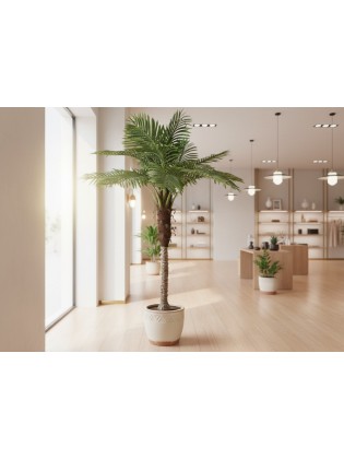 Palmeira Phoenix Artificial 210cm