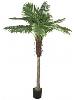 Palmeira Phoenix Artificial 210cm