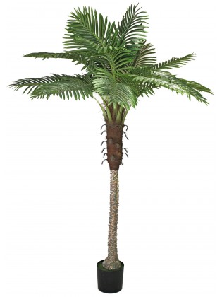 Palmeira Phoenix Artificial 210cm